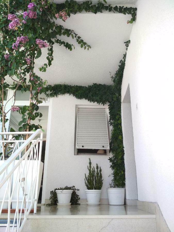 Apartmani Carevic Baška Voda Екстериор снимка
